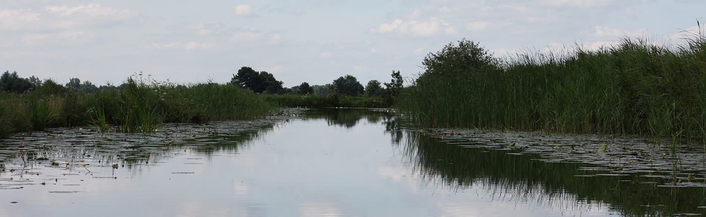 Omgeving Vinkeveense Plassen Omgeving Vinkeveense Plassen
