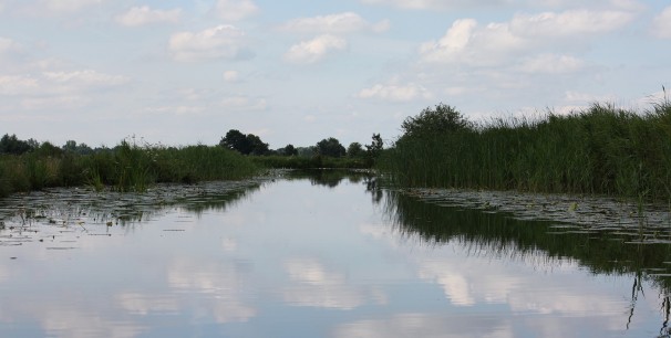 Omgeving Vinkeveense Plassen